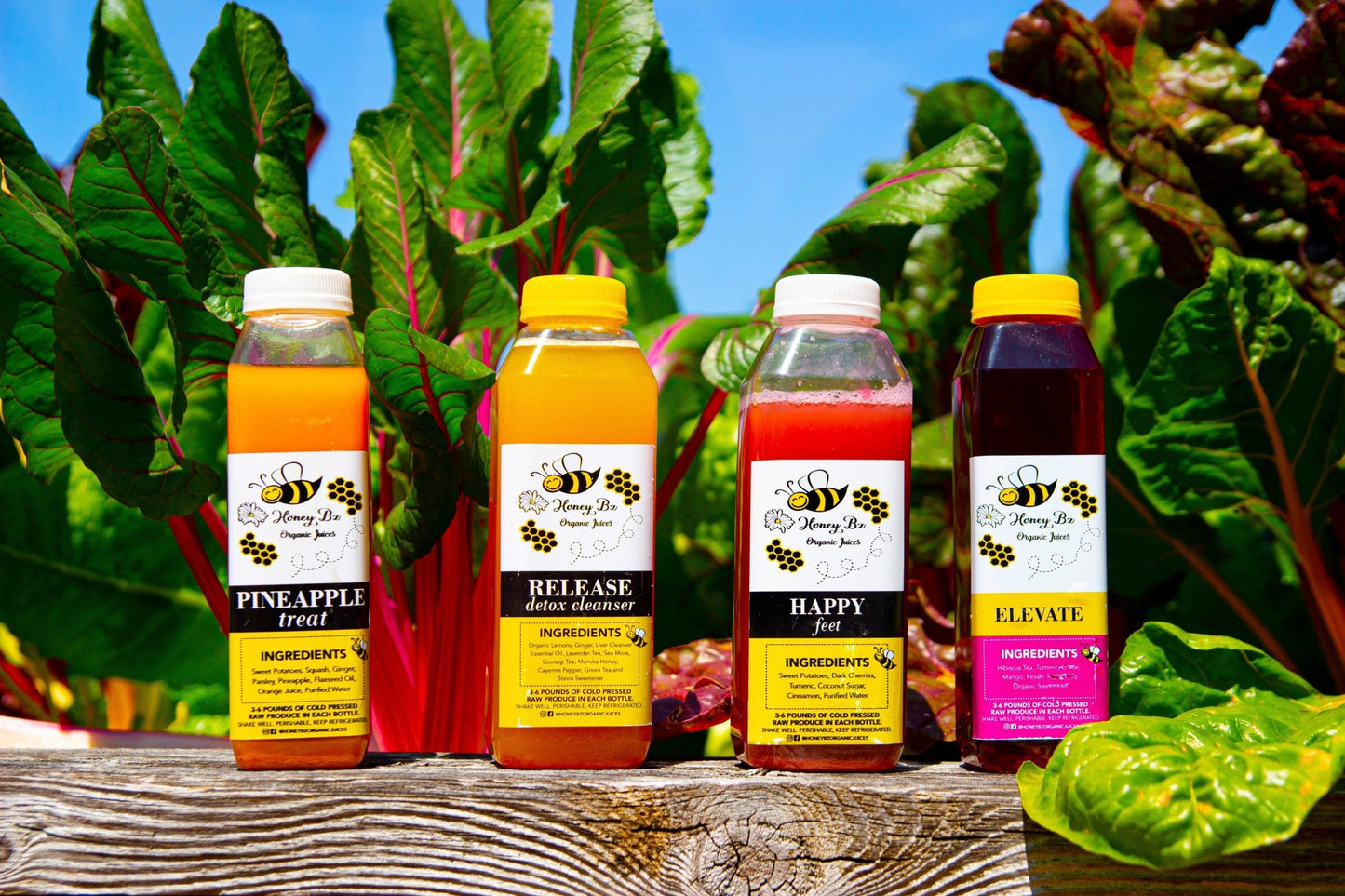 Gift for you - Honey Bz's Organic Juices